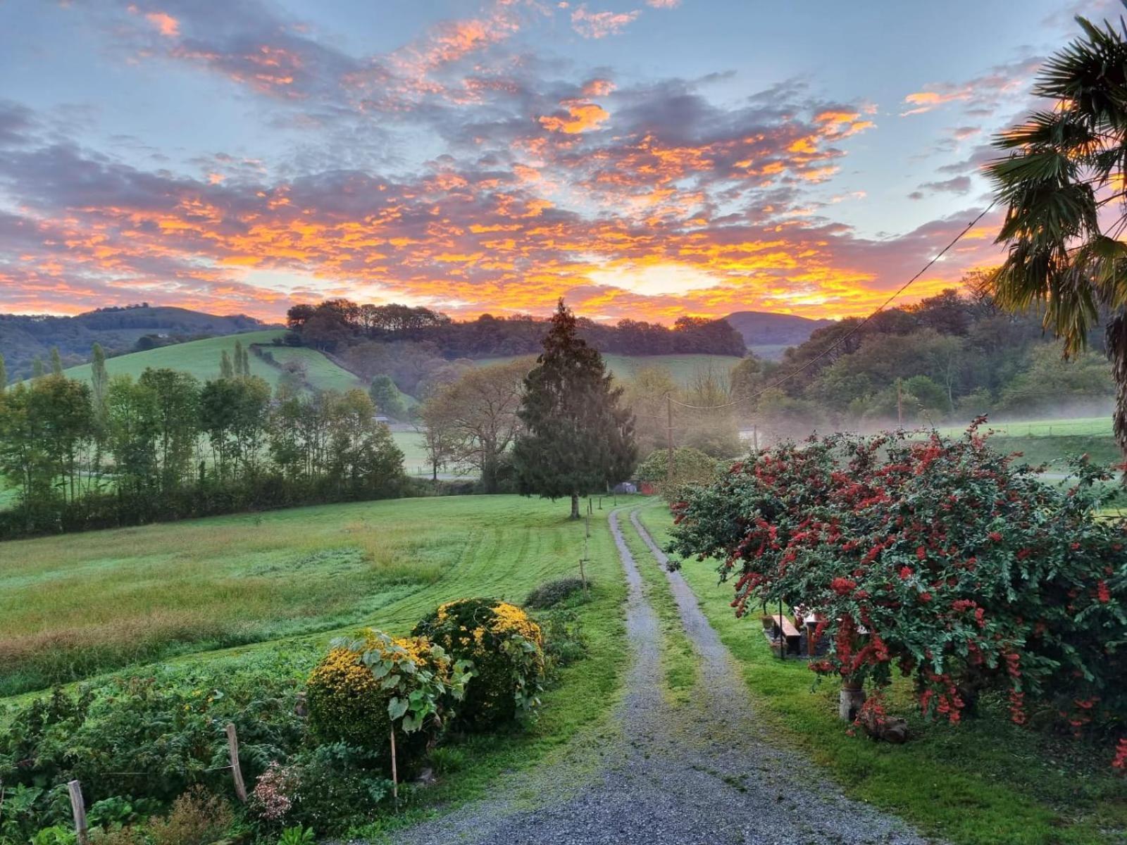"Chez Naty" Chambres D'Hotes Au Pays-Basque Cheraute エクステリア 写真