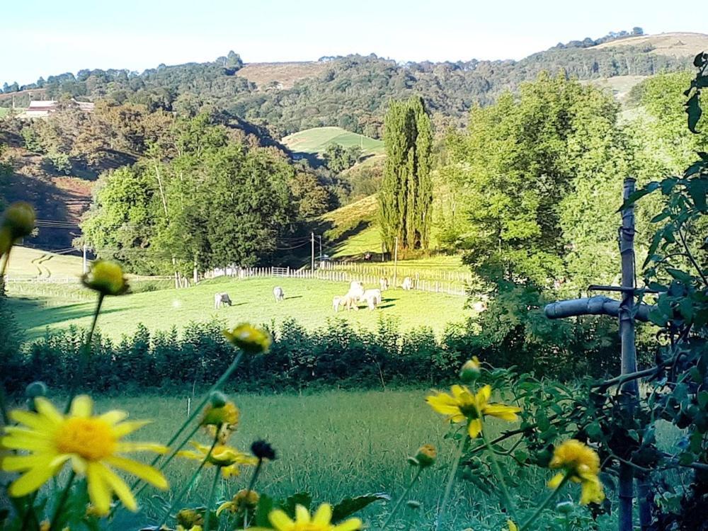 "Chez Naty" Chambres D'Hotes Au Pays-Basque Cheraute エクステリア 写真